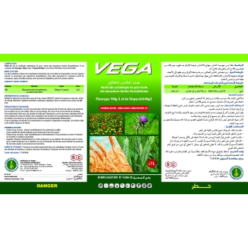 VEGA