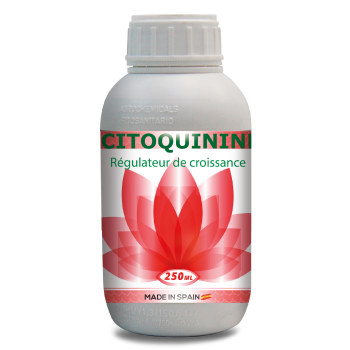 CYTOQUININE