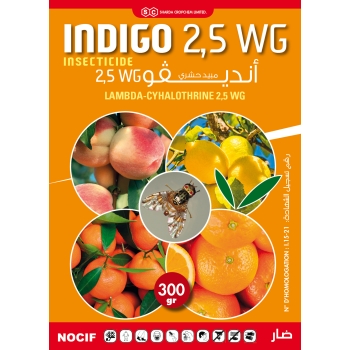 INDIGO 300gr