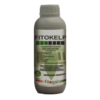 FITOKELP
