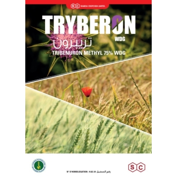 TRYBERON WDG