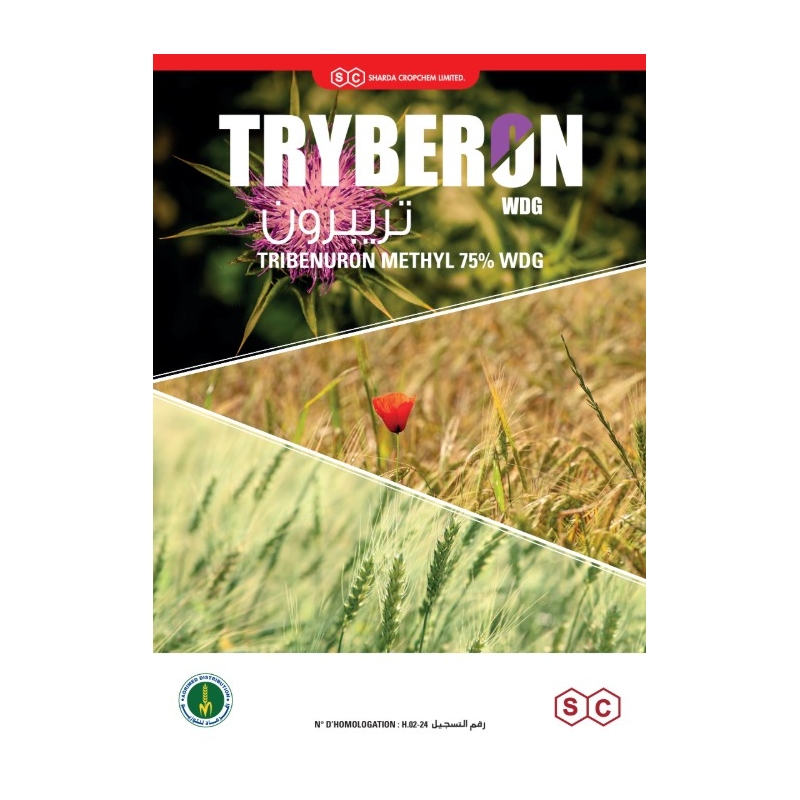 TRYBERON WDG