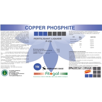Copper Phosphite