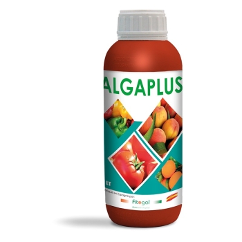 ALGA PLUS