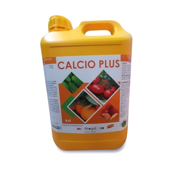 CALCIO PLUS