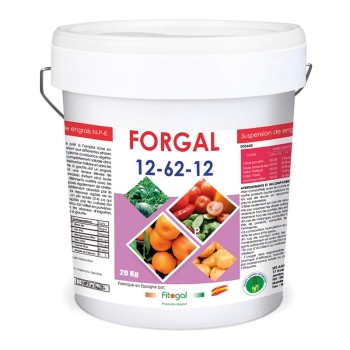 GAMME FORGAL